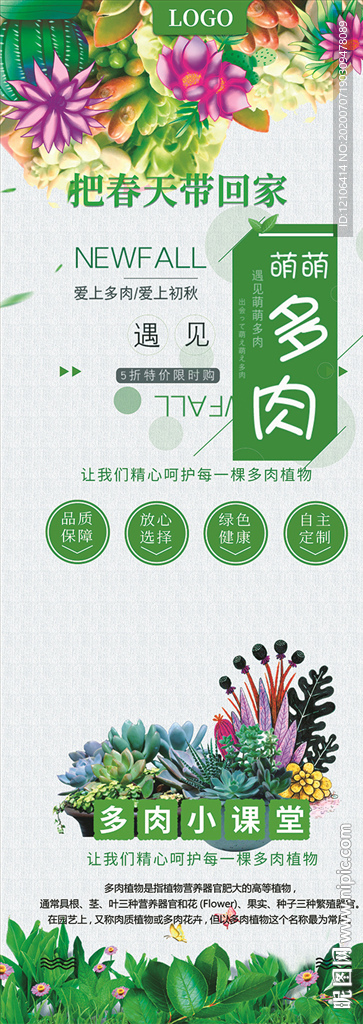 多肉X展架