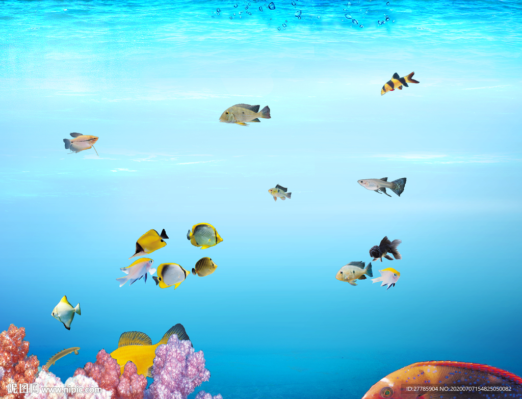 海底世界