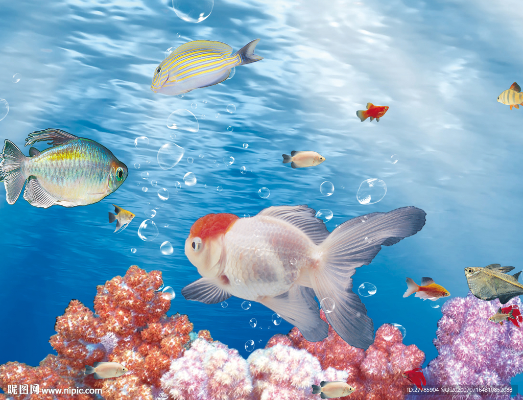 海底生物
