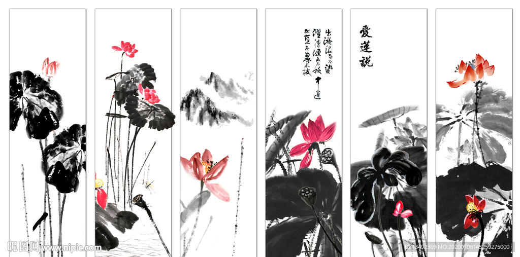 黑白荷花