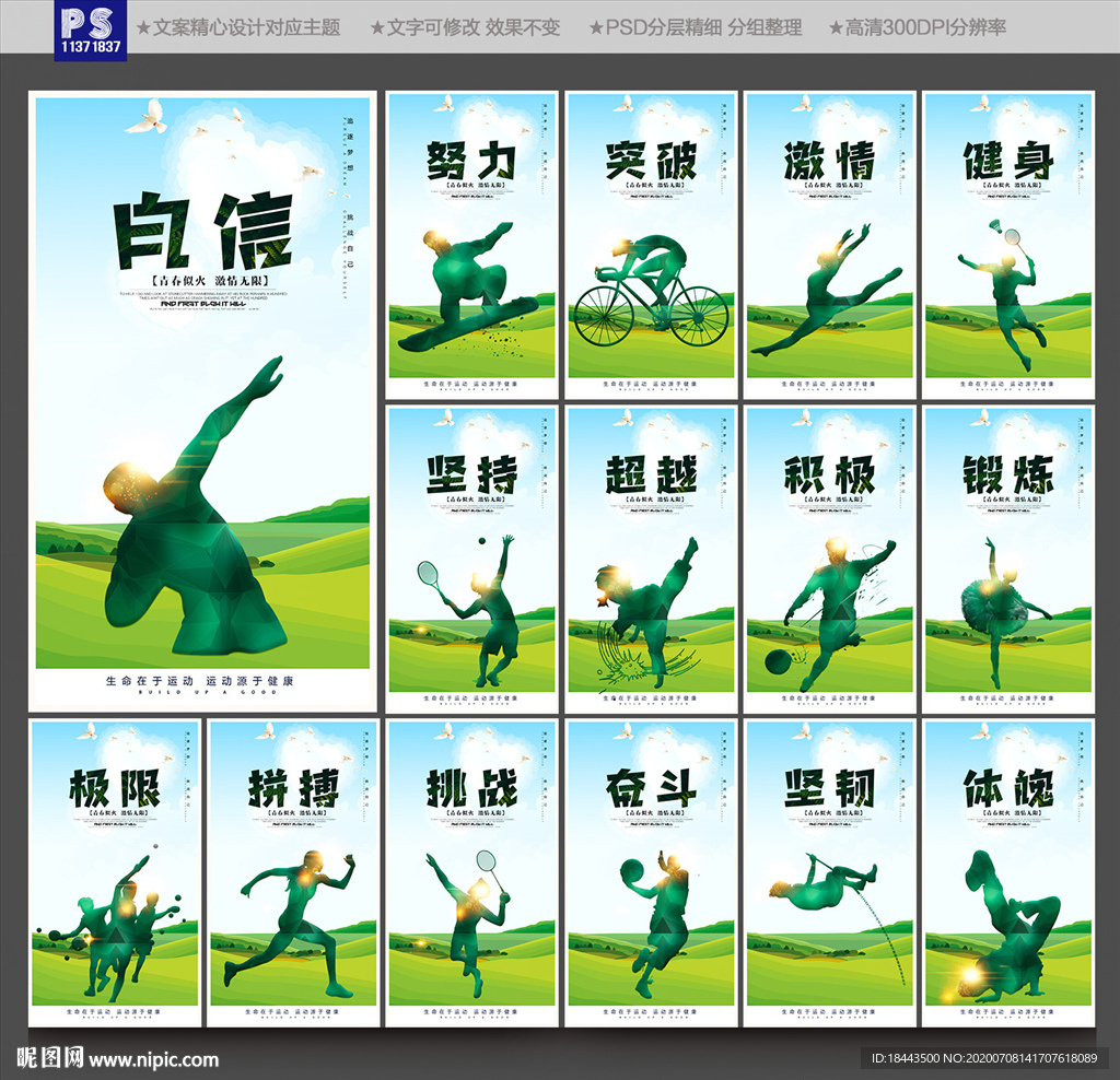体育