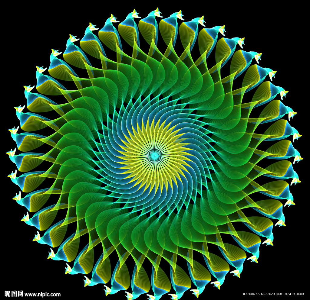 花纹