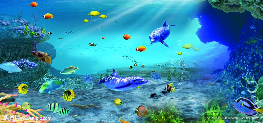 海底生物