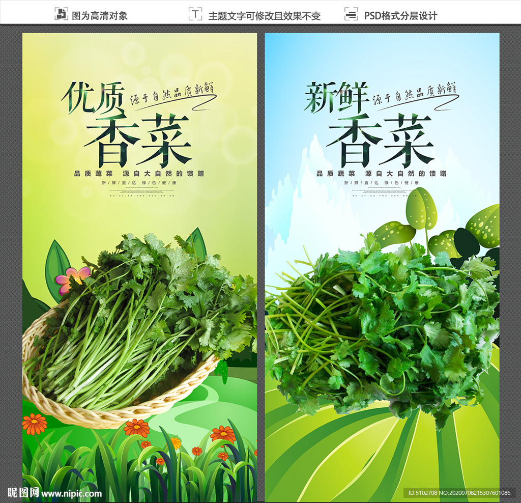 香菜
