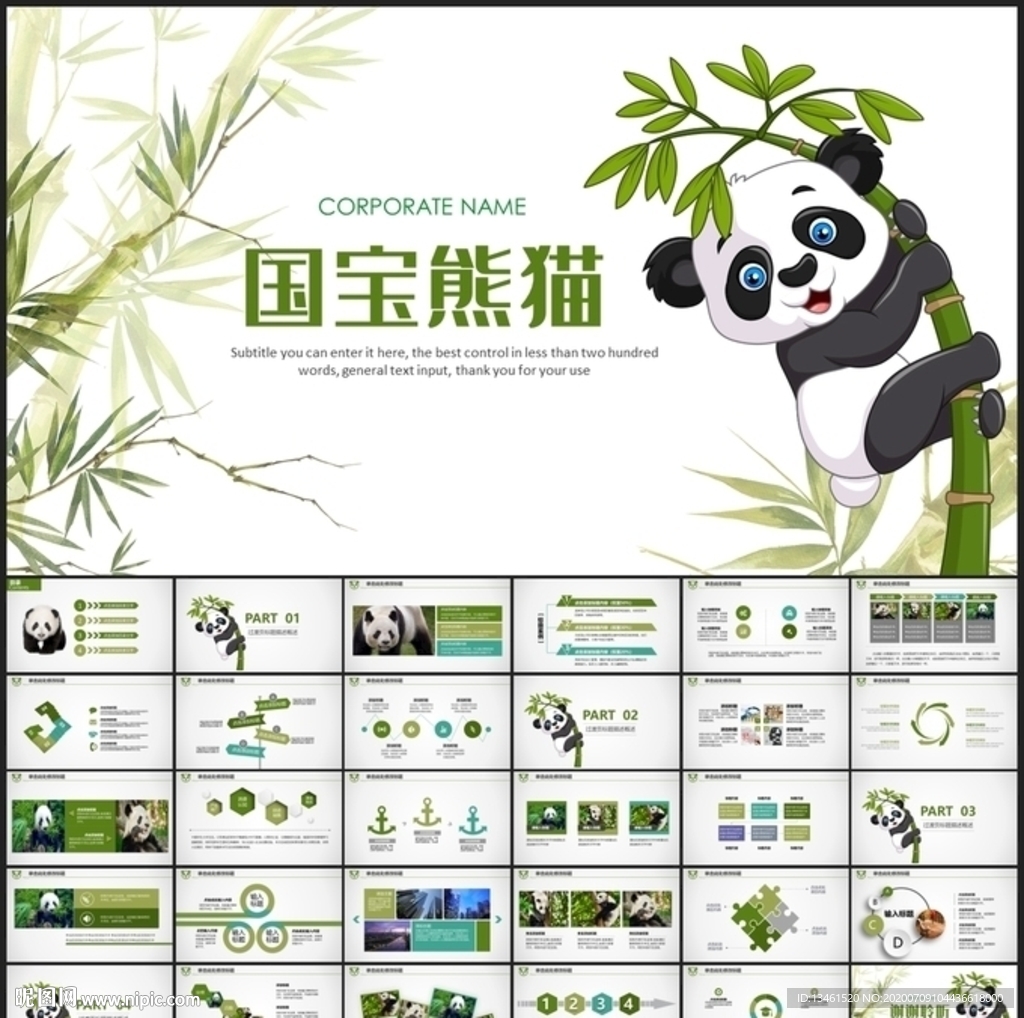 野生动物国宝大熊猫保护PPT
