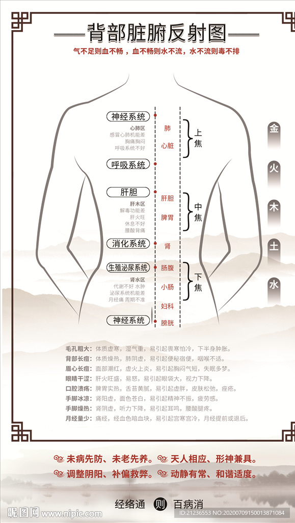 背部脏腑反射图