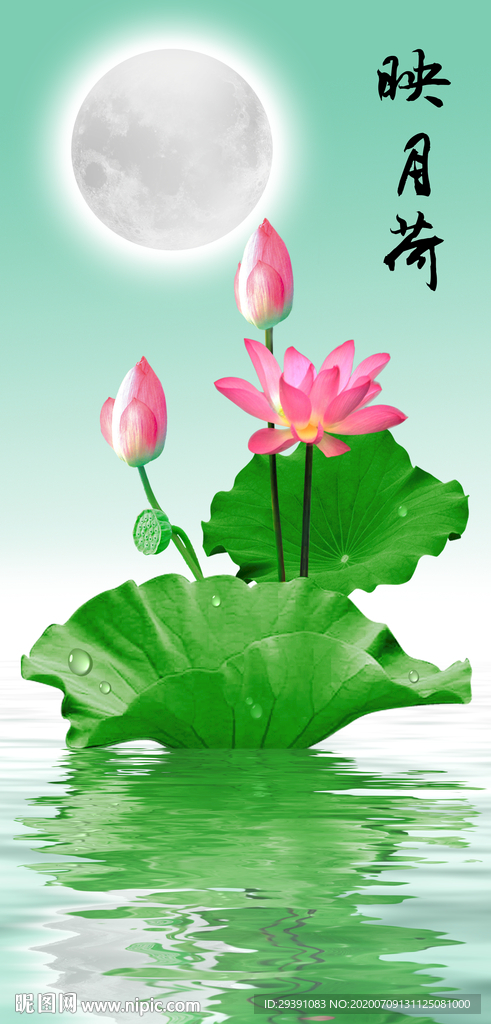 水中荷花背景墙