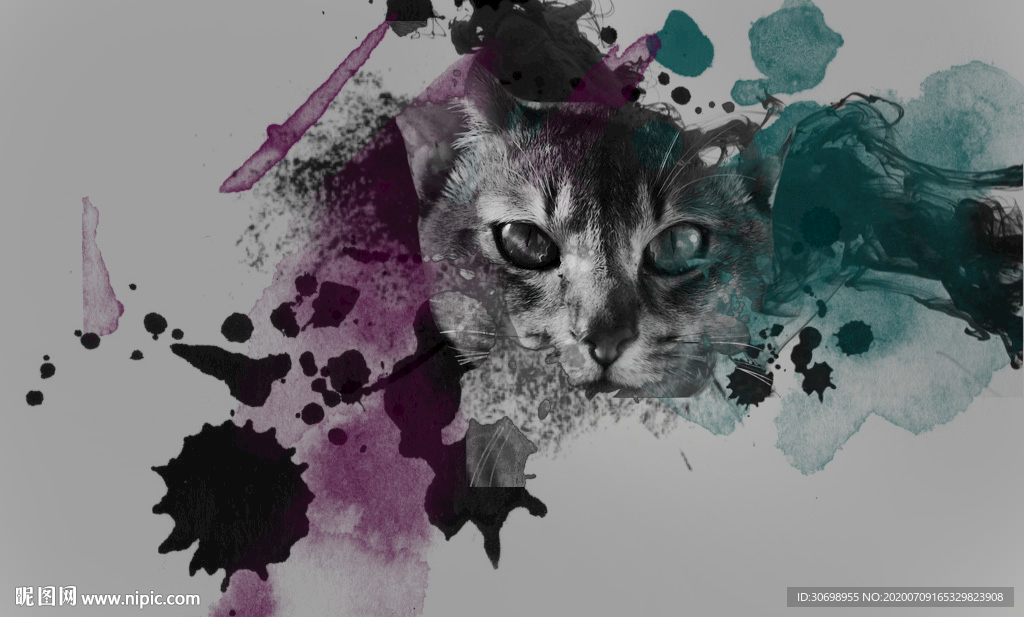 猫