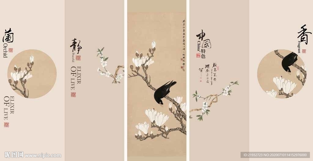 工笔玉兰