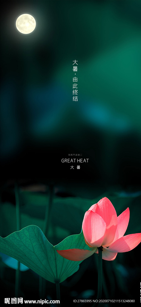 大暑节气 微单 视频