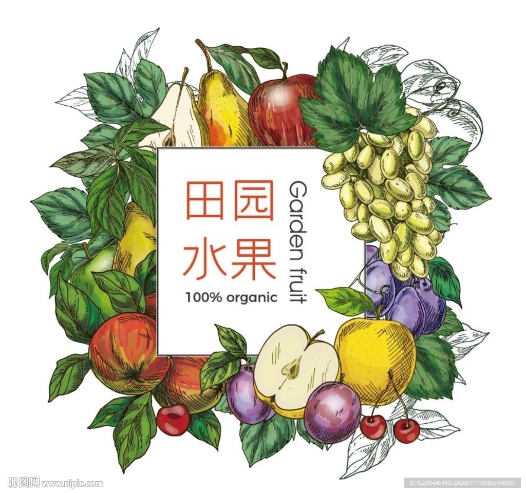 手绘田园水果