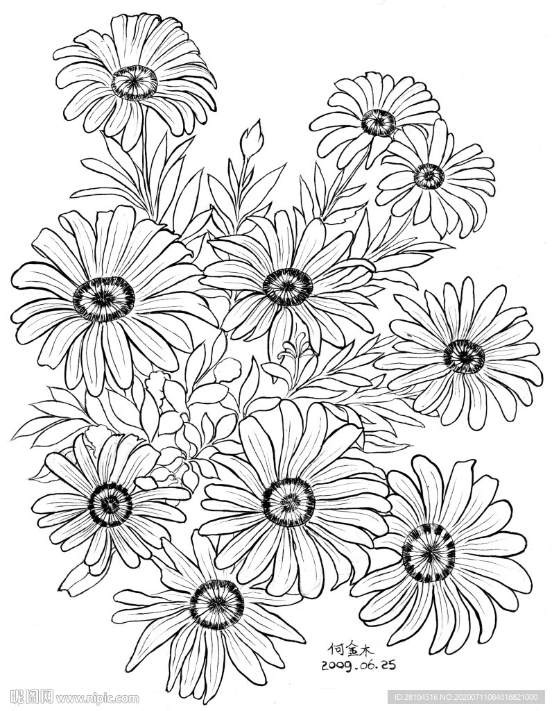 小菊花