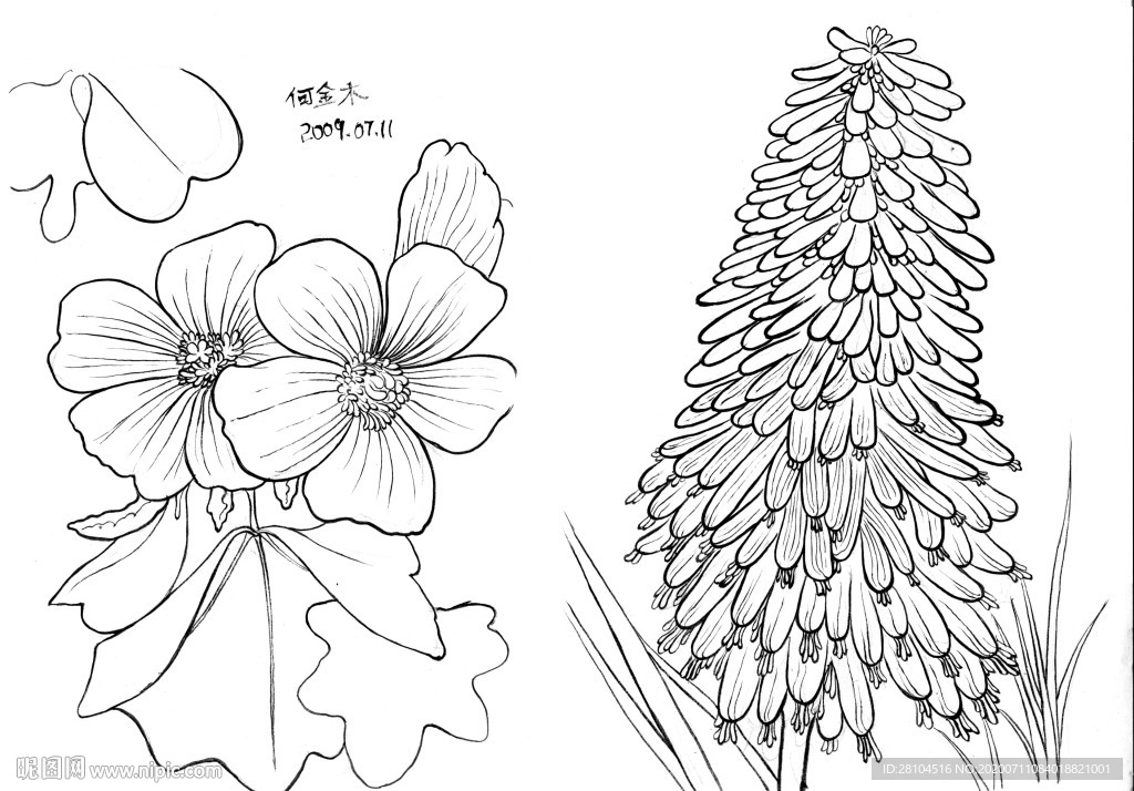 杂花二图