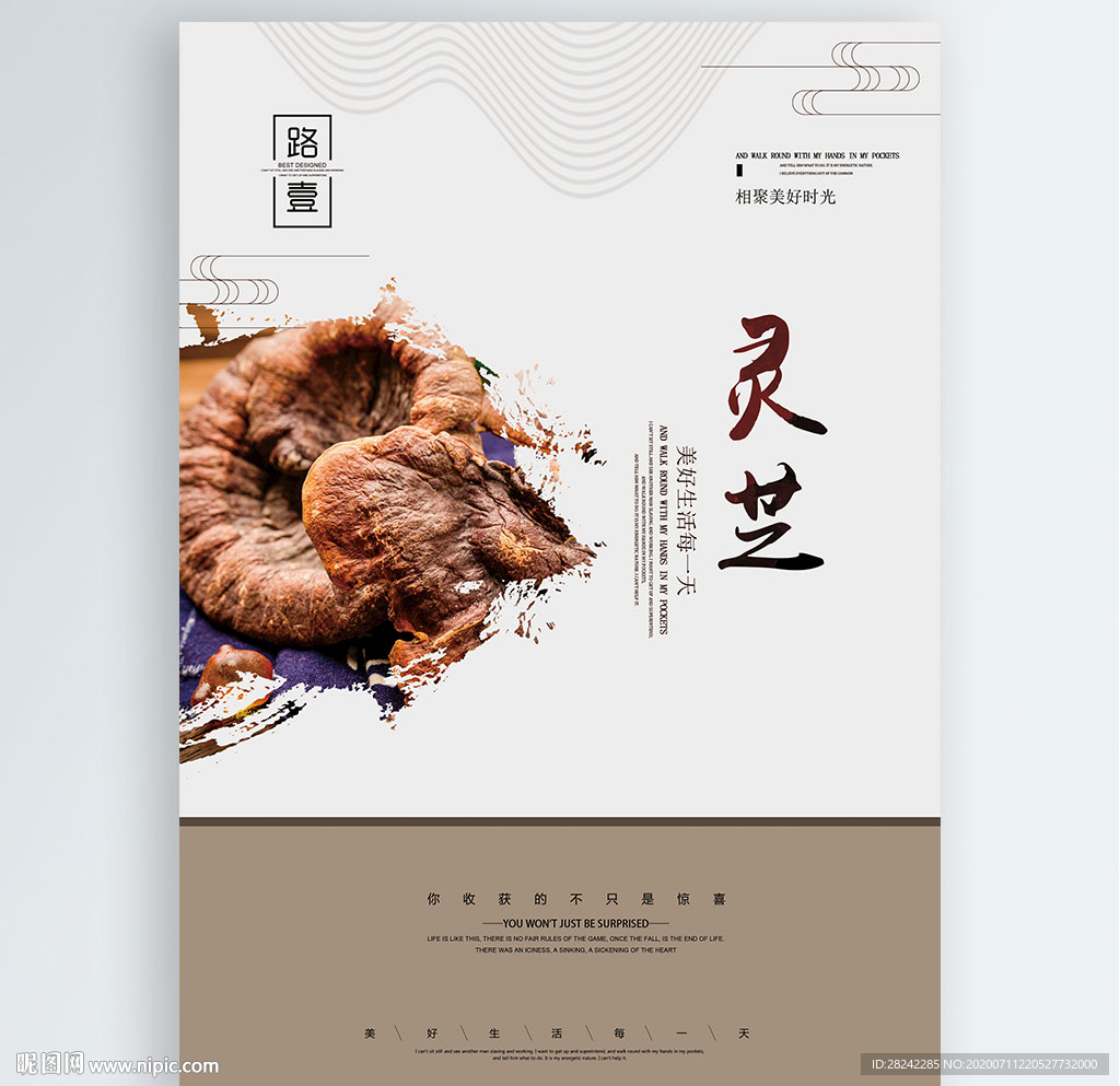 灵芝