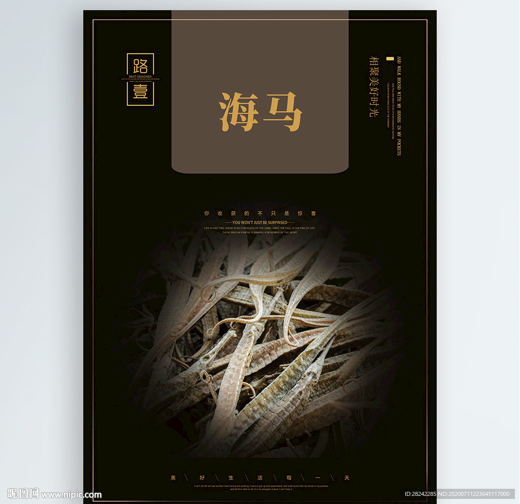 海马