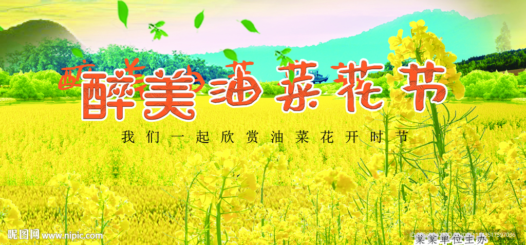油菜花
