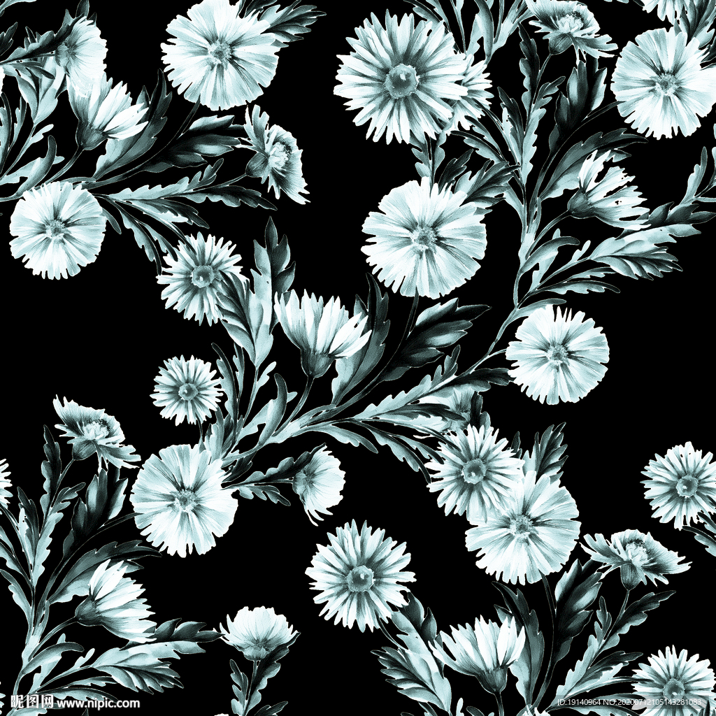 灰色菊花