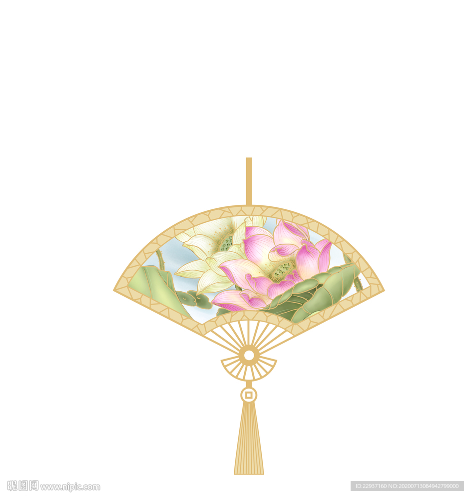 荷花
