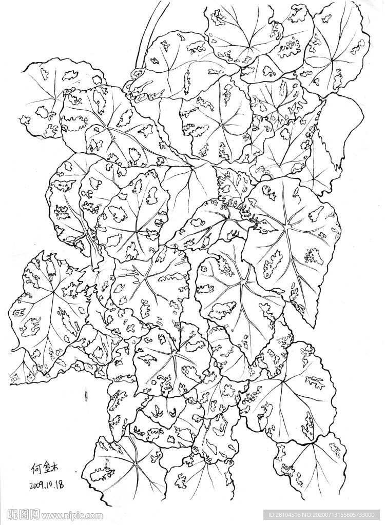 植物1018