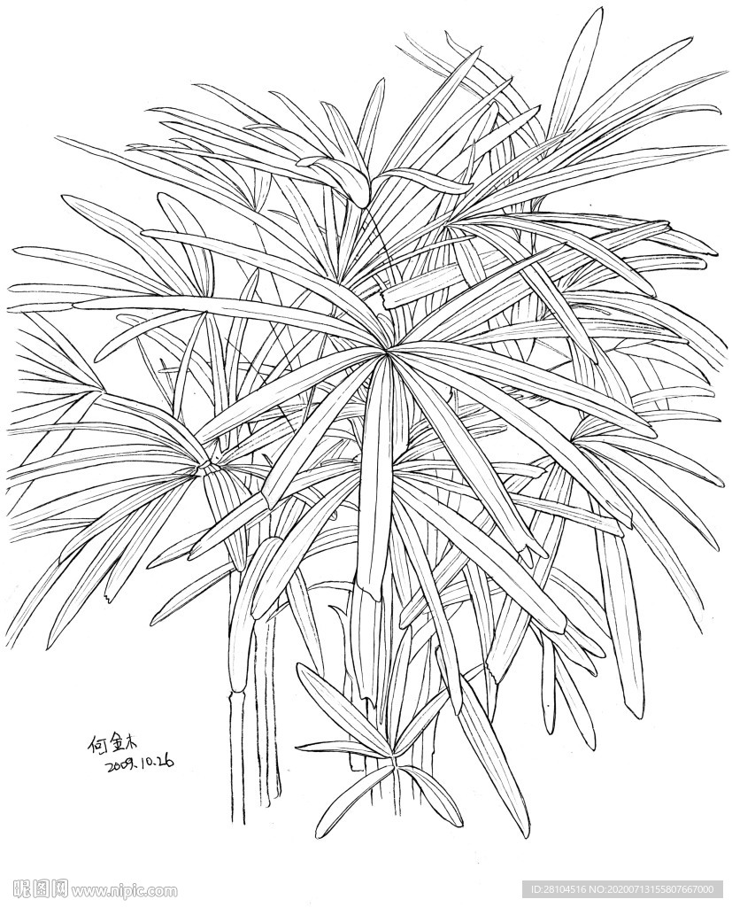 细细的小草一丛