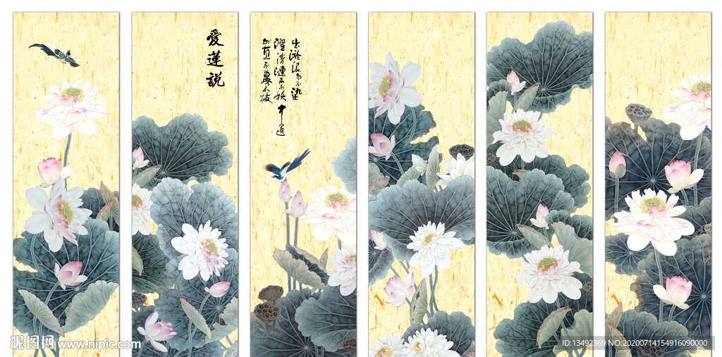 荷花图