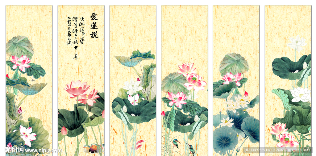 荷花国画