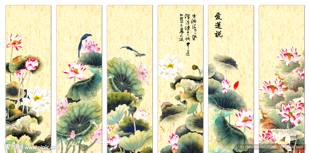 国画荷花