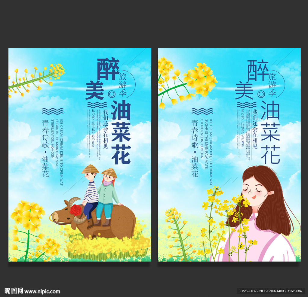 油菜花