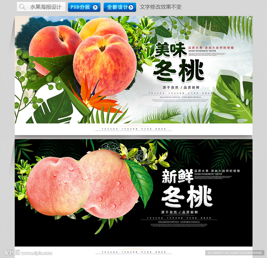 冬桃