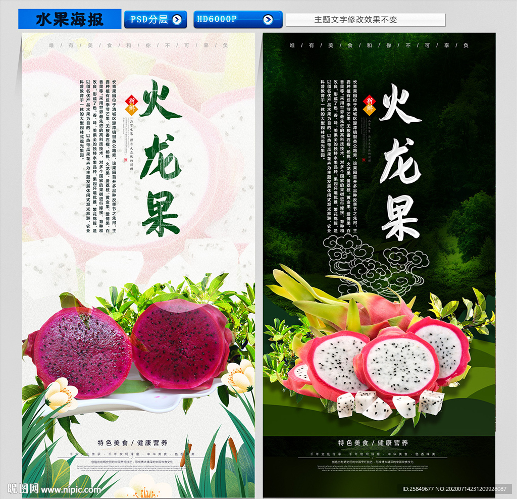 火龙果