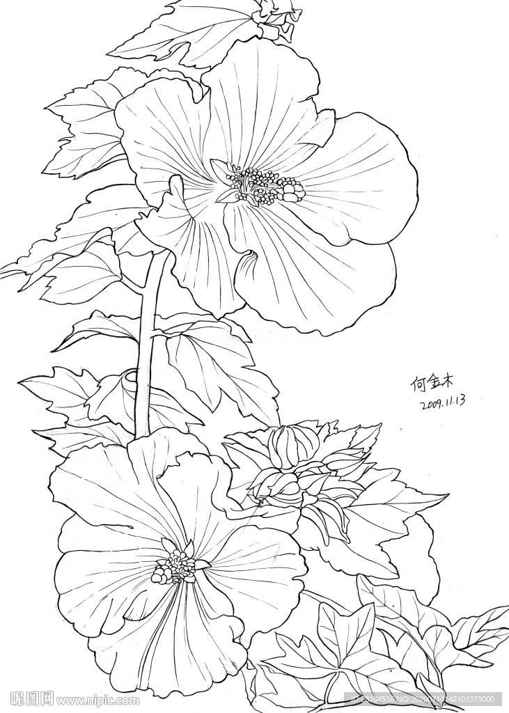 花卉一幅