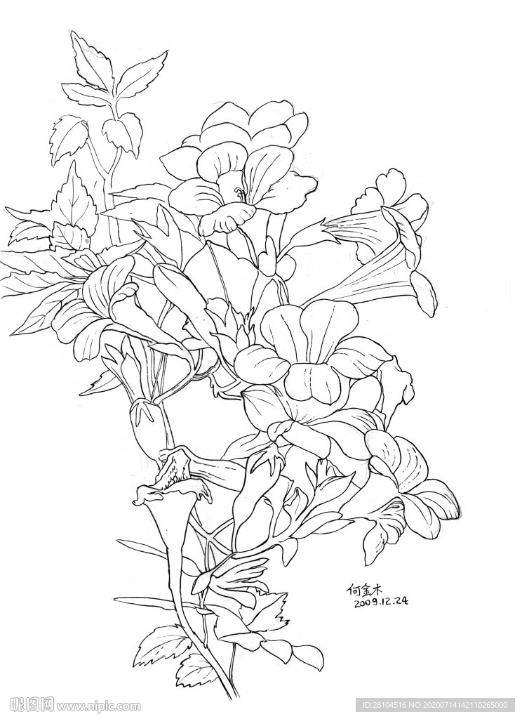 无名花