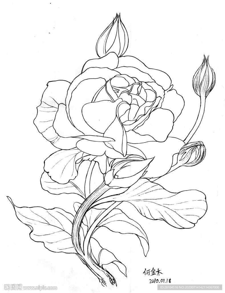 花儿