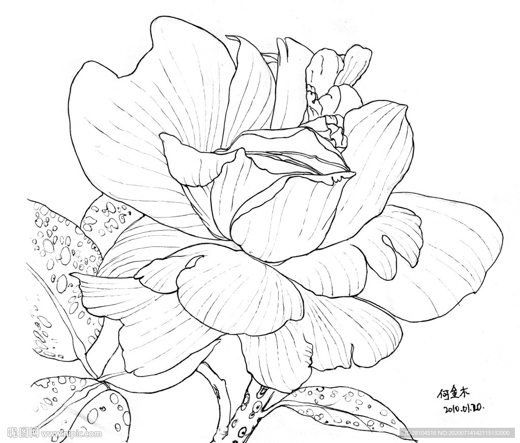 花0
