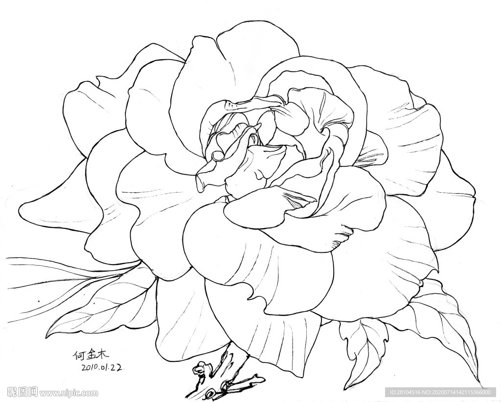 花卉0122