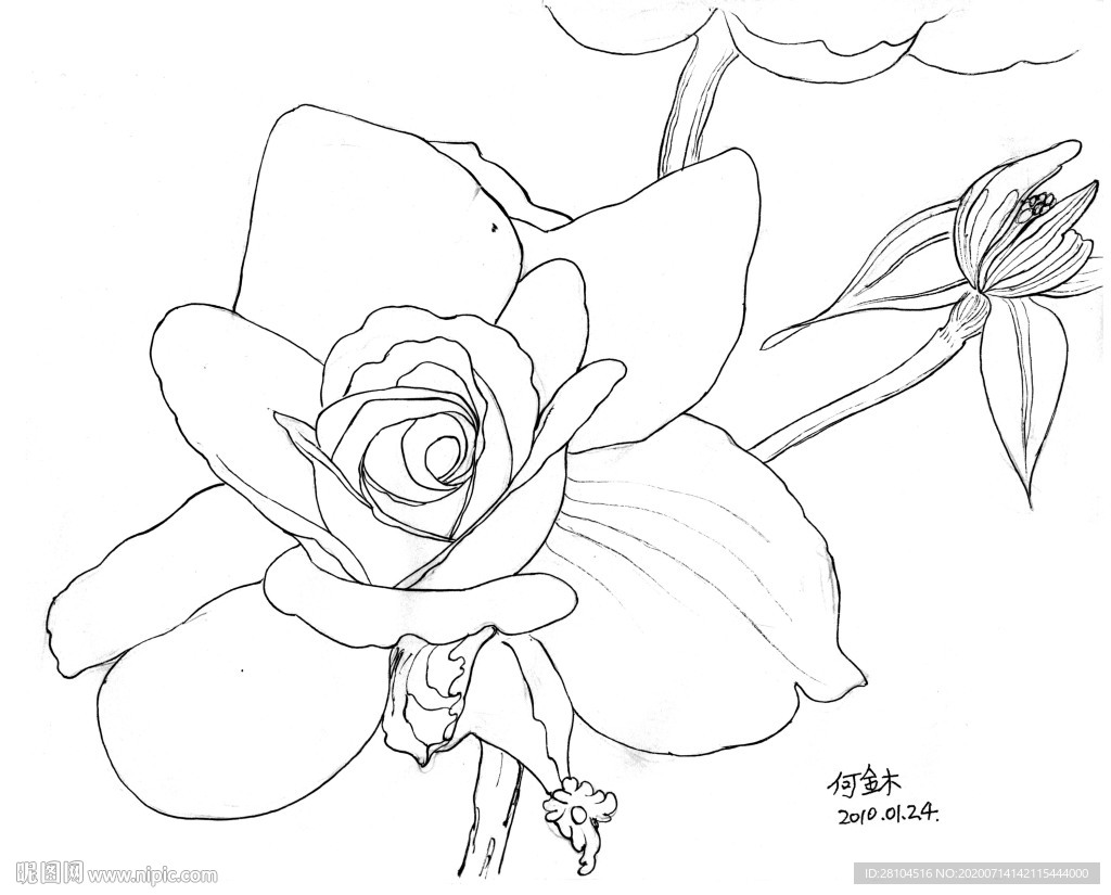 花卉0124