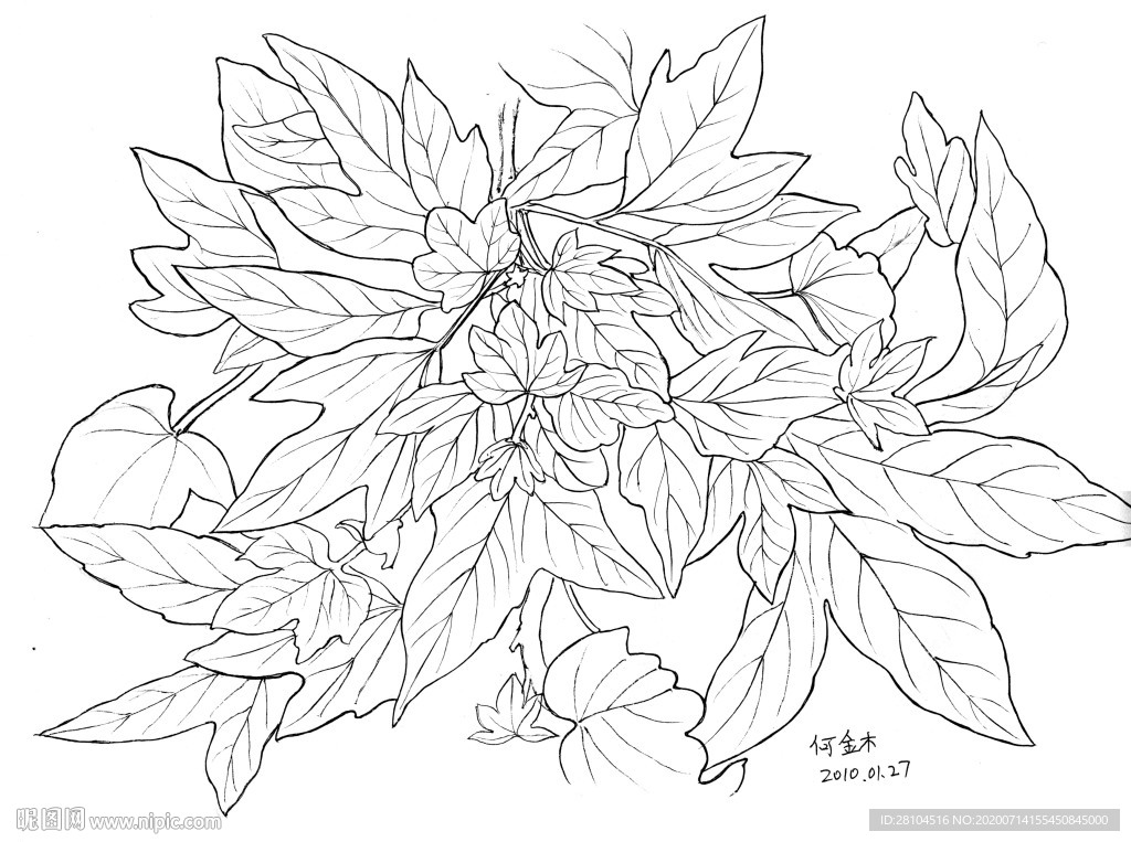 世界 明花