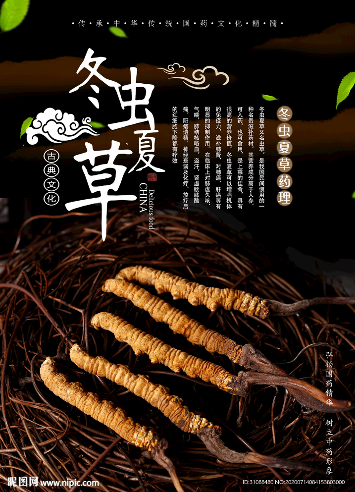 冬虫夏草海报 虫草海报