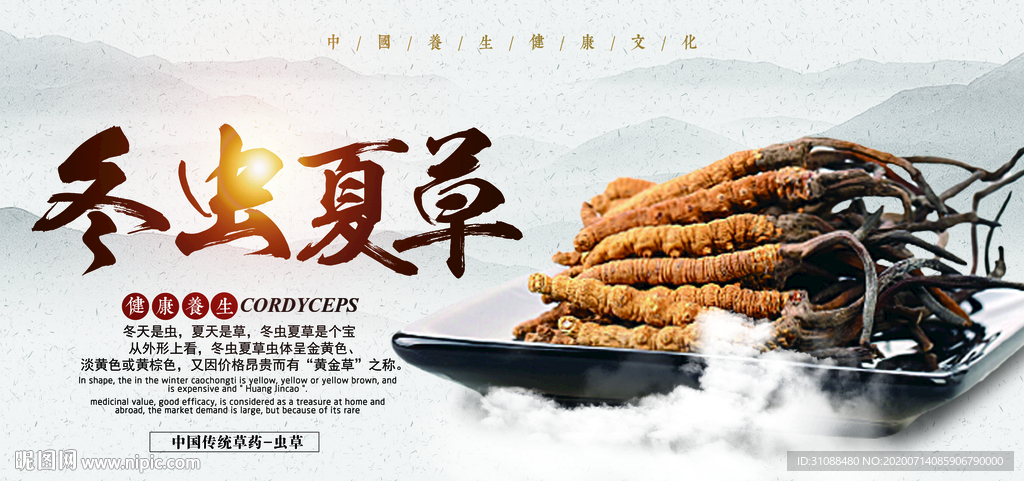 冬虫夏草海报 虫草海报