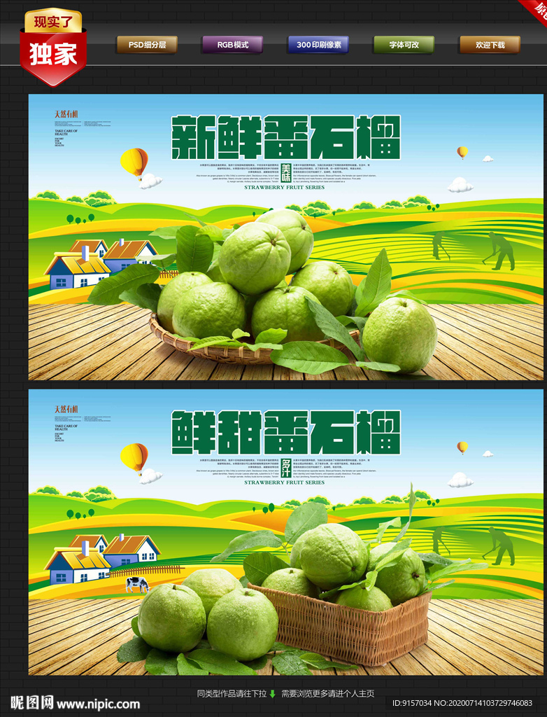 番石榴 番石榴海报