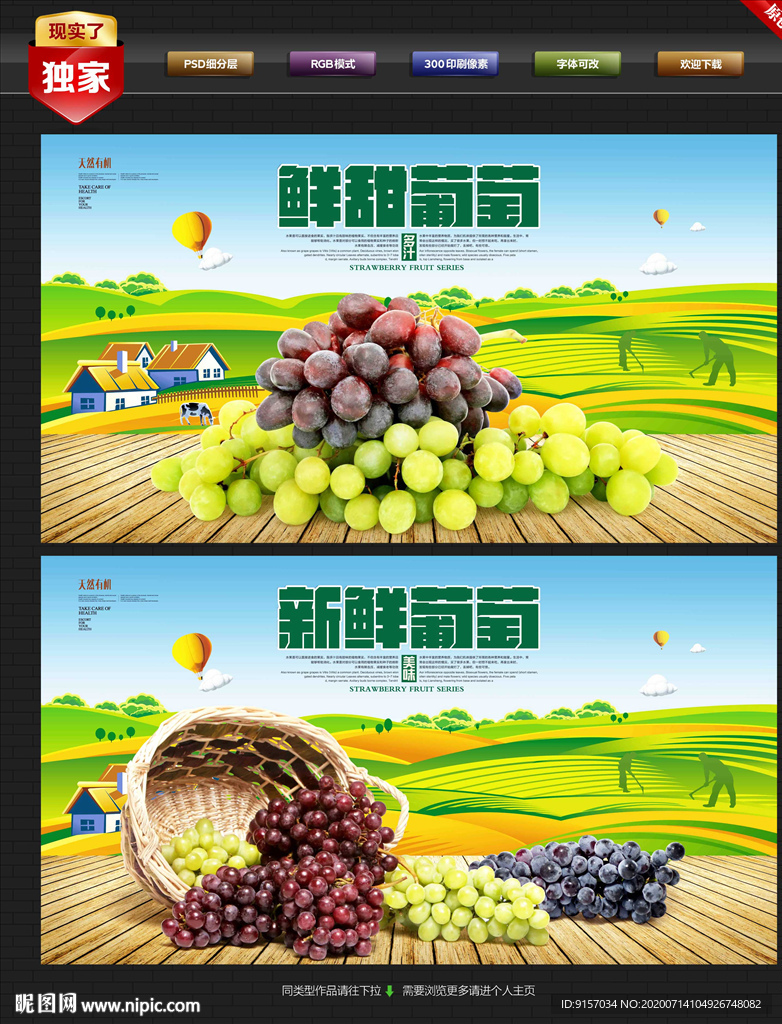 葡萄 葡萄采摘 葡萄海报