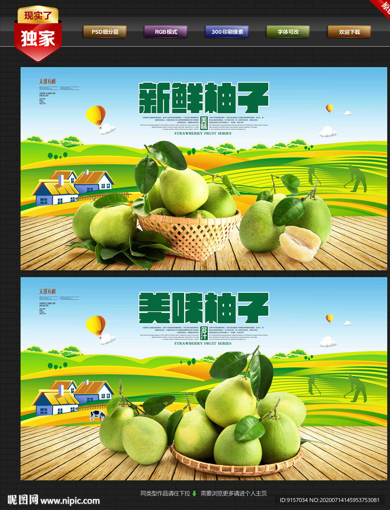 柚子展板 柚子海报