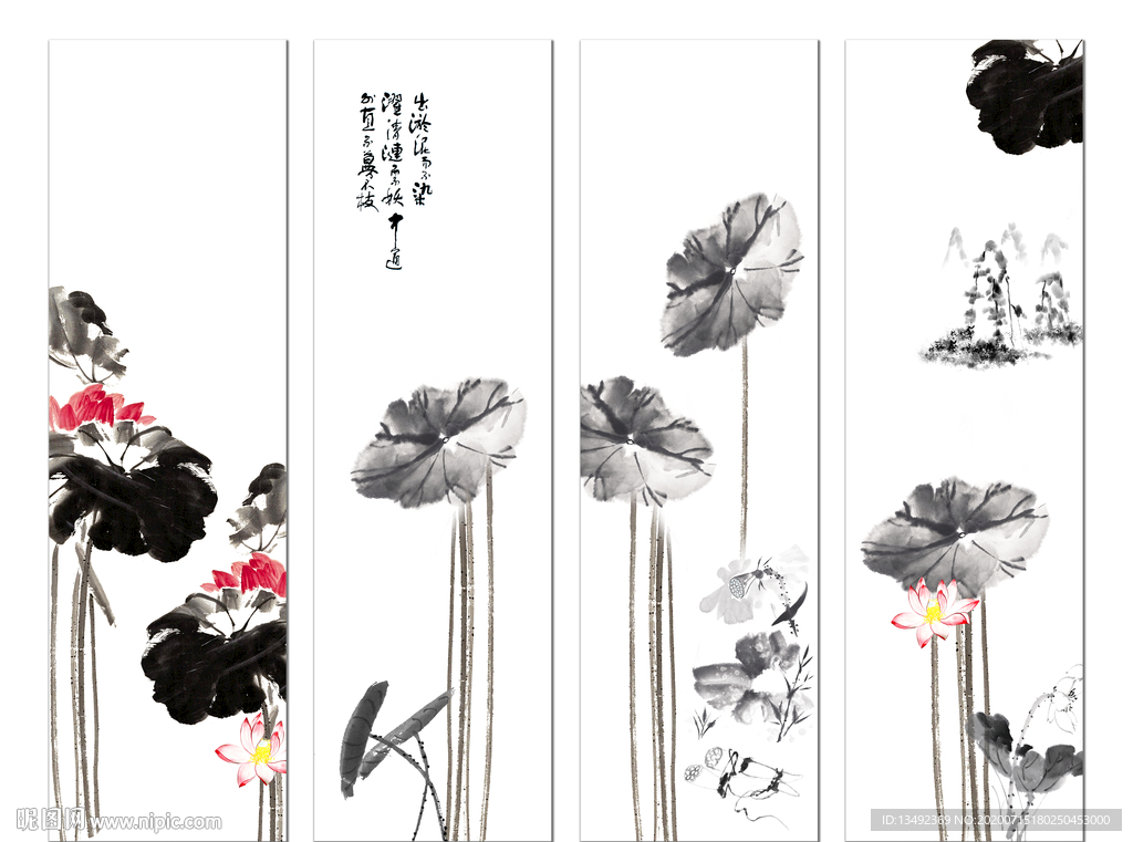 荷花国画