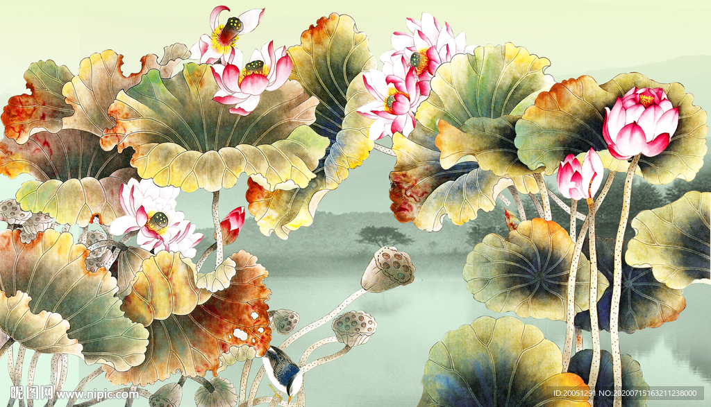 国画荷花