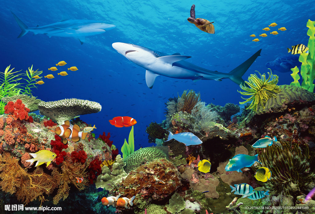 海洋生物
