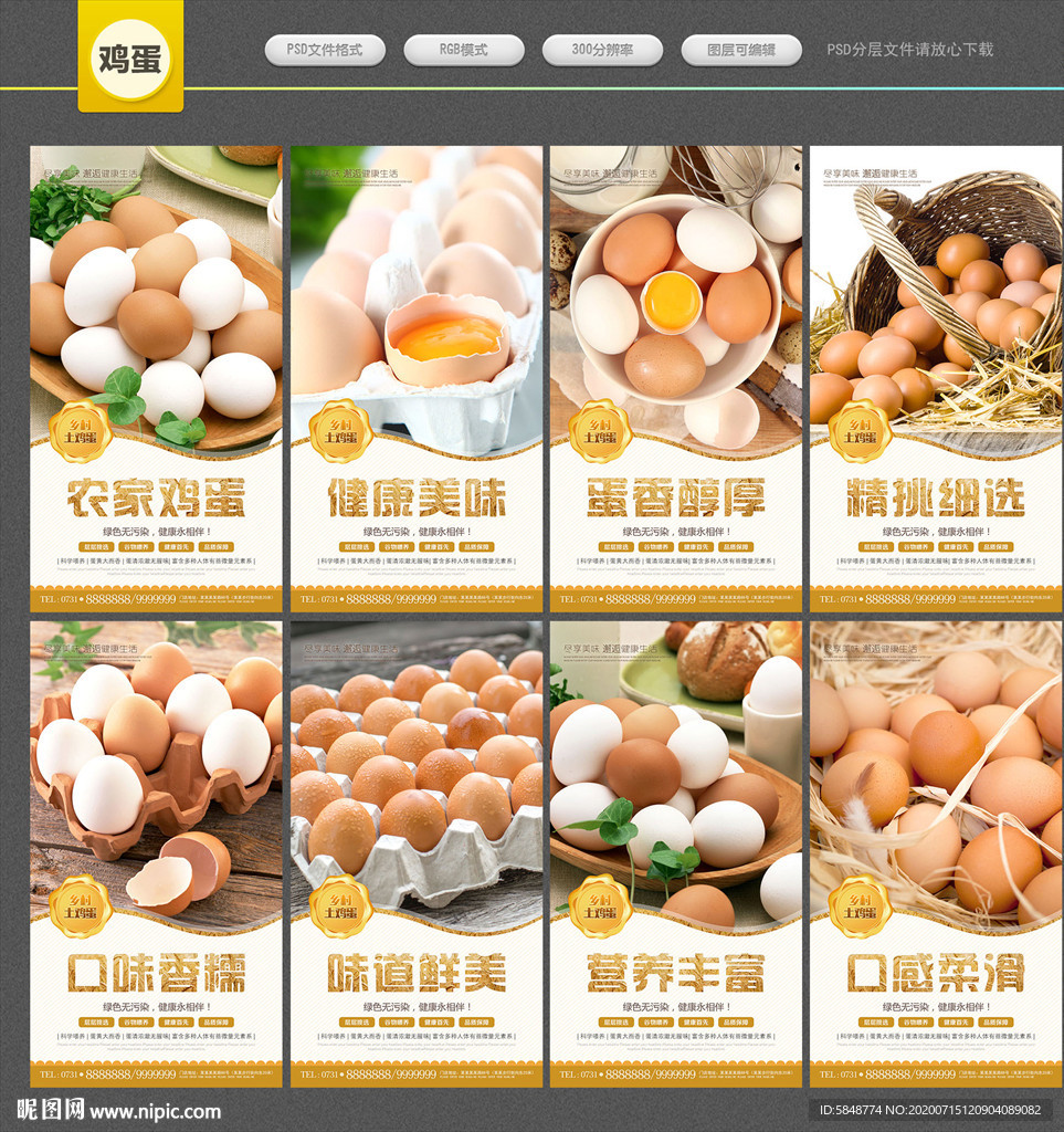 鸡蛋展板 鸡蛋海报