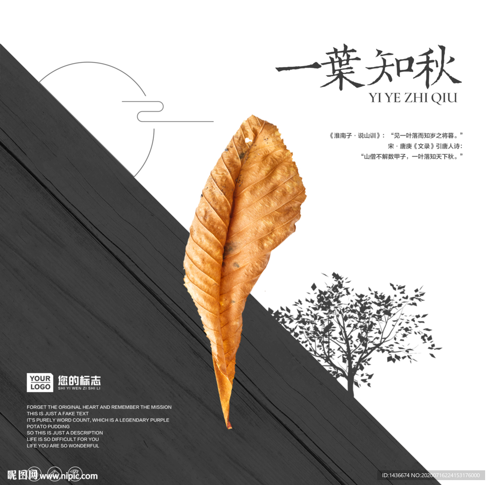 一叶知秋-海报