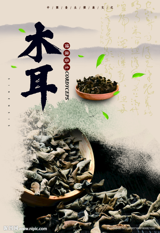 木耳海报 黑木耳海报 黑木耳