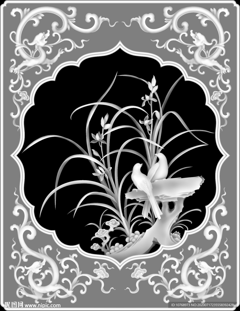 四季花 兰花