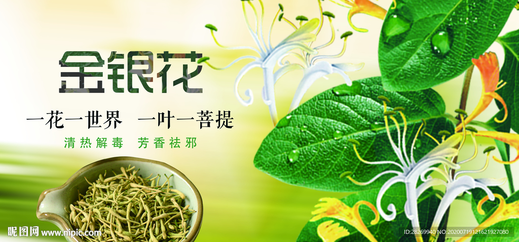 金银花